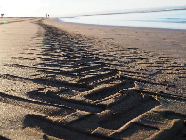 www.marpol-vox.pl
